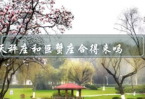 天秤座和巨蟹座合得来吗（个性互补、共同兴趣、互相支持）