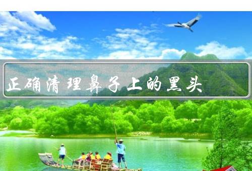 正确清理鼻子上的黑头，正确清洁面部／使用鼻贴或去角质产品