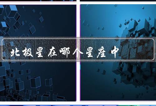 北极星在哪个星座中（在哪个星座中、特点、历史意义）
