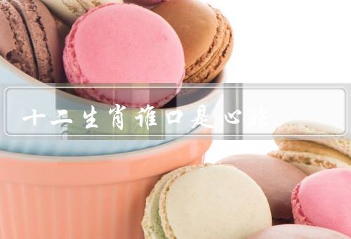十二生肖谁口是心非，表达方式／害怕被伤害／保护自己形象