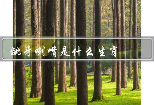 龇牙咧嘴是什么生肖（特征／生肖猴象征意义／文化意义）