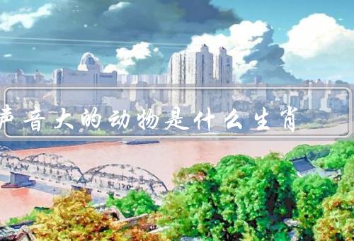 声音大的动物是什么生肖，声音大的动物是什么生肖、老鼠的声音特点