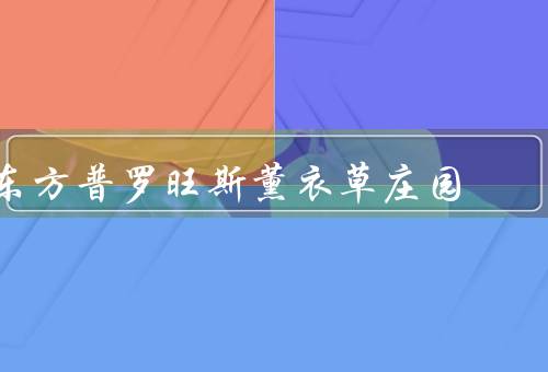 东方普罗旺斯薰衣草庄园，种植面积／品种丰富／旅游景点