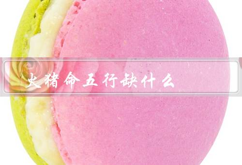 火猪命五行缺什么，缺金／缺木／缺水