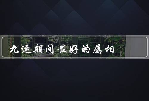 九运期间最好的属相（聪明智慧、社交能力强、财运亨通）