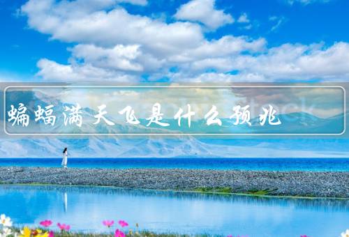 蝙蝠满天飞是什么预兆，预兆／文化解释／科学解释