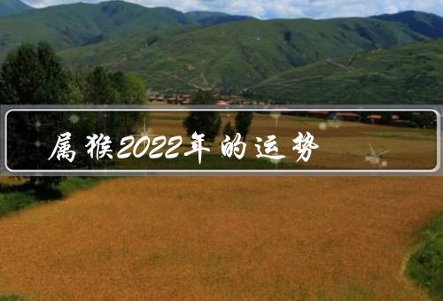 属猴2022年的运势（工作和事业、财运、感情）