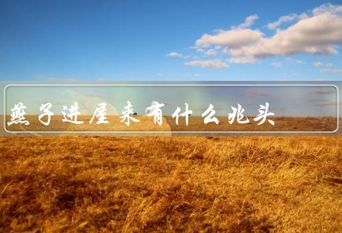 燕子进屋来有什么兆头（好运的象征／传说／如何招引）