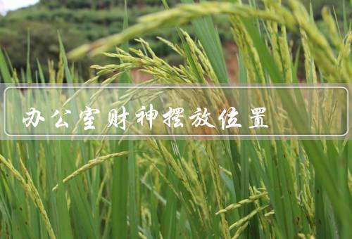 办公室财神摆放位置（位置选择、姿势和朝向、注意事项）