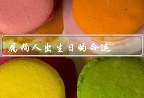 属狗人出生日的命运，个性特点／事业发展／人际关系