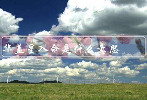 华盖星入命是什么意思，影响／启示
