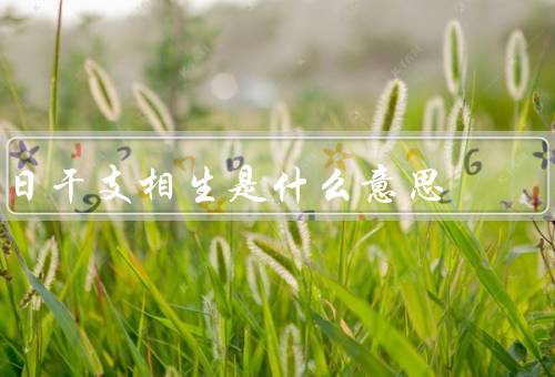 日干支相生是什么意思（含义、推理规律、应用范围和注意事项）