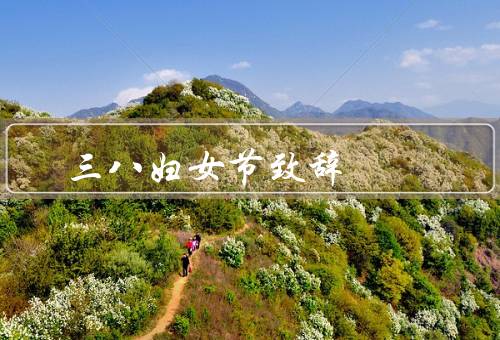 三八妇女节领导致辞（女性的进步与贡献、妇女权益的保障与提升）