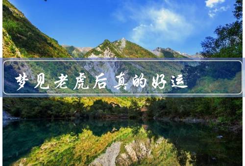 梦见老虎后真的好运（老虎的象征意义／梦见老虎的好运）