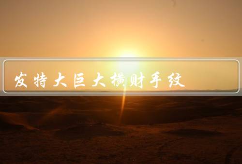 发特大巨大横财手纹（意义、特大巨大横财故事、奥秘与科学解释）