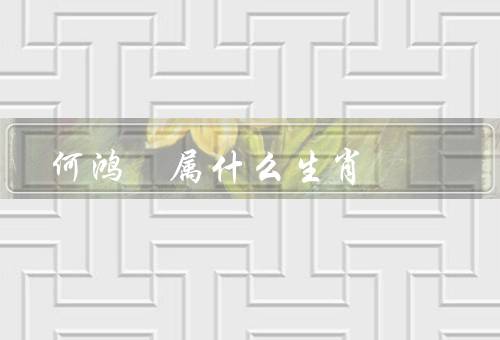 何鸿燊属什么生肖，事业成就／个人特点／影响与贡献