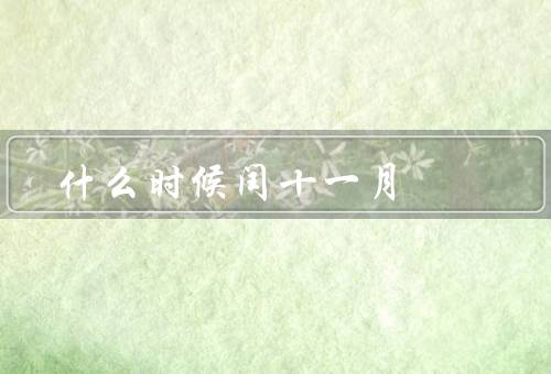 什么时候闰十一月（闰月的定义、何时出现闰十一月、闰十一月的意义）