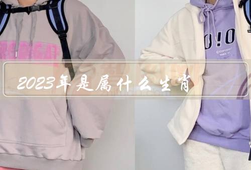 2023年是属什么生肖，象征意义／传统习俗／运势和建议