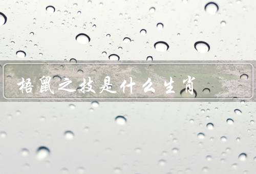 梧鼠之技是什么生肖（在生活中的应用、发展与应用）