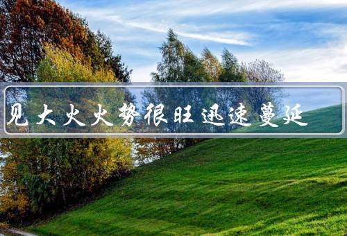 梦见大火火势很旺迅速蔓延，梦境中的大火／焦虑与压力