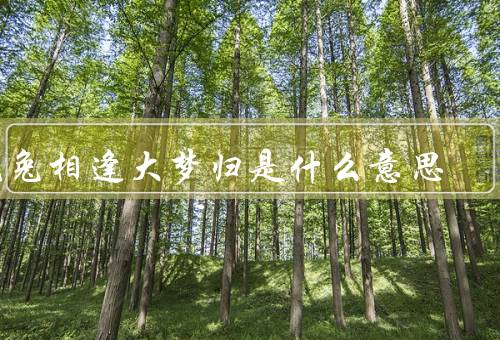虎兔相逢大梦归是什么意思，兔子的梦境、老虎的教诲、梦醒时分