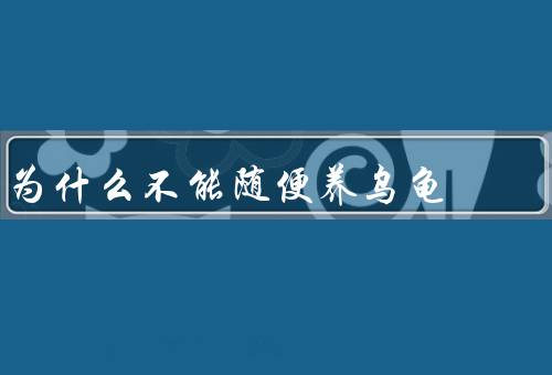 为什么不能随便养乌龟（生活环境、饮食和营养需求、专业医疗护理）