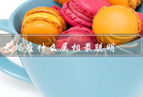 天蝎座什么属相最聪明（洞察力、思维深度、学习能力）