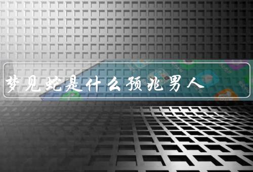 梦见蛇是什么预兆男人（欲望／变革／潜意识的警示）