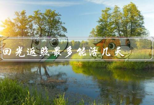回光返照最多能活几天，特点／原因／持续时间