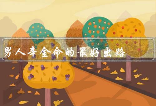 男人辛金命的最好出路，奋斗改变命运／积累财富改变命运