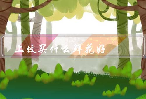 上坟买什么鲜花好（百合／康乃馨／菊花）