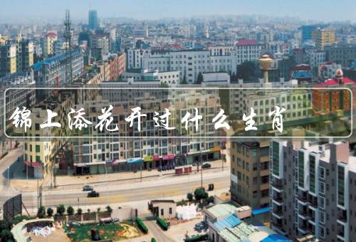 锦上添花开过什么生肖，鼠年生肖、龙年生肖、羊年生肖