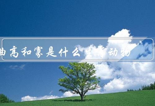 曲高和寡是什么生肖动物，曲高和寡／兔子／蛇