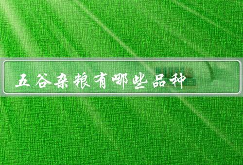 五谷杂粮有哪些品种（小麦、稻谷、玉米）