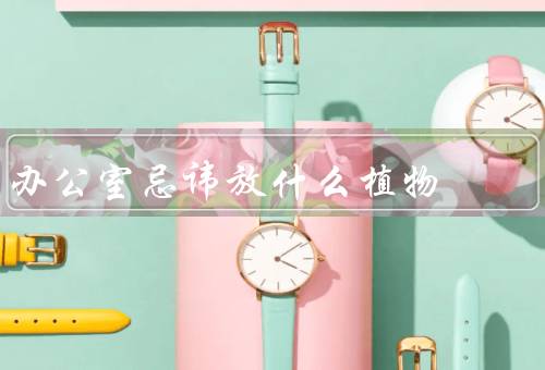 办公室忌讳放什么植物（仙人掌、百合花、虎尾兰）