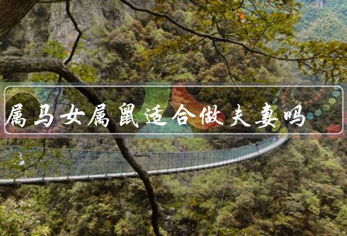 男属马女属鼠适合做夫妻吗（性格相似、互补特点、共同成长）