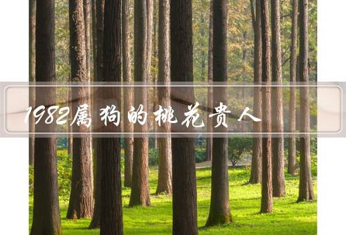 1982属狗的桃花贵人，职场桃花／感情桃花／人际关系桃花