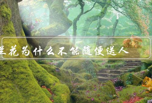 兰花为什么不能随便送人，价值、养殖难度、象征意义