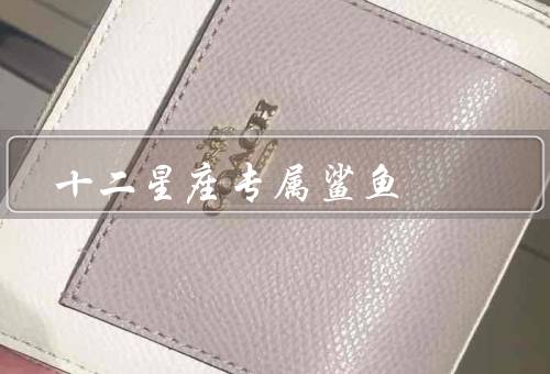 十二星座专属鲨鱼（白羊座：勇敢的猎手、金牛座：稳健的守护者）