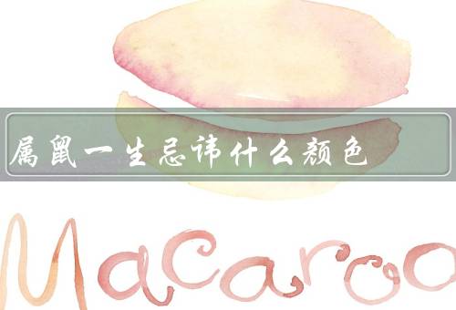 属鼠一生忌讳什么颜色，红色／绿色／黑色