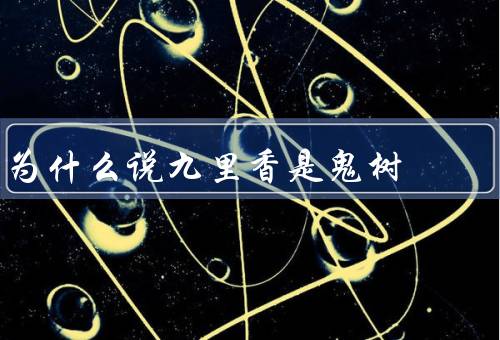 为什么说九里香是鬼树，外观特点、特殊传说、历史渊源