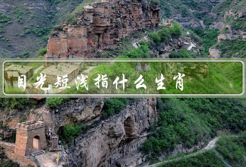 目光短浅指什么生肖，鼠／兔／猪