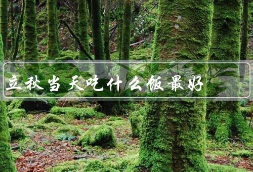 立秋当天吃什么饭最好，清热解暑／补充营养／养生调理