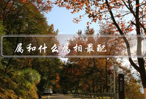 属马的和什么属相最配（兔的人最配、羊的人最配、蛇的人最配）