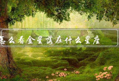 怎么看金星落在什么星座（白羊座／金牛座／双子座）