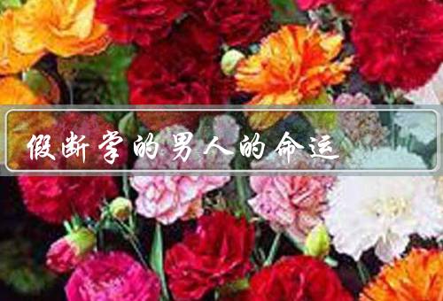 假断掌的男人的命运（假断掌的男人／追捧与困扰／命运的转折）
