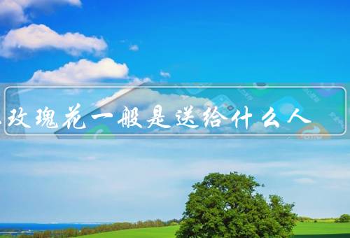 红玫瑰花一般是送给什么人（情人／配偶／恋人）