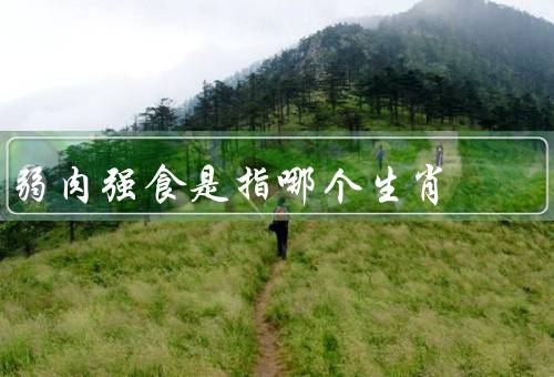 弱肉强食是指哪个生肖（指哪个生肖／生物竞争／人类社会）