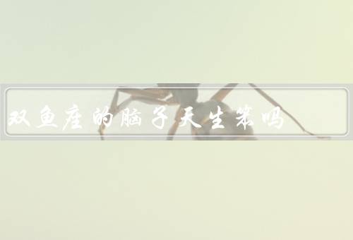 双鱼座的脑子天生笨吗，情感丰富／想象力丰富／潜力和发展