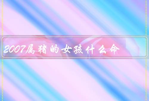 2007属猪的女孩什么命，聪明伶俐、温和友善、事业顺利